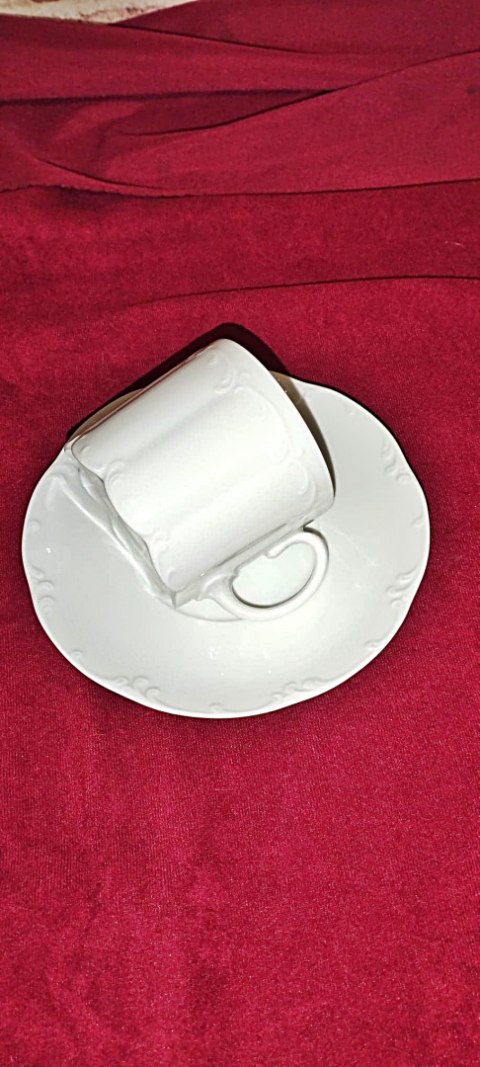 filiżanka Rosenthal Monbijou filiżanka Rosenthal Monbijou