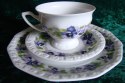filiżanka- zestaw Rosenthal Maria Bratki