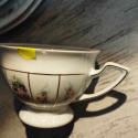 filiżanka - zestaw Rosenthal Maria Poesie