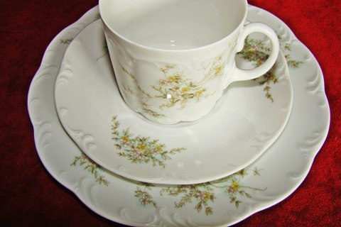 zestaw- filiżanka Rosenthal Monbijou Grune Ranke zestaw- filiżanka Rosenthal Monbijou Grune Ranke