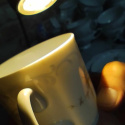 zestaw- filiżanka Rosenthal Monbijou Grune Ranke