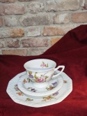 filiżanka -zestaw Rosenthal Maria Sommerstrauss