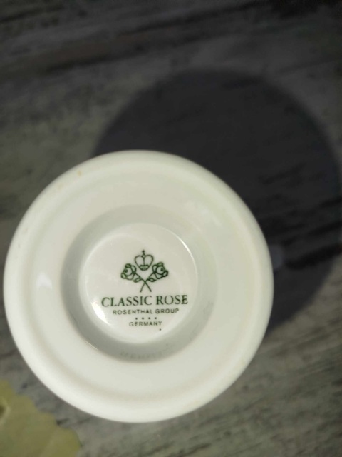 mlecznik Rosenthal Biała Maria mlecznik Rosenthal Biała Maria