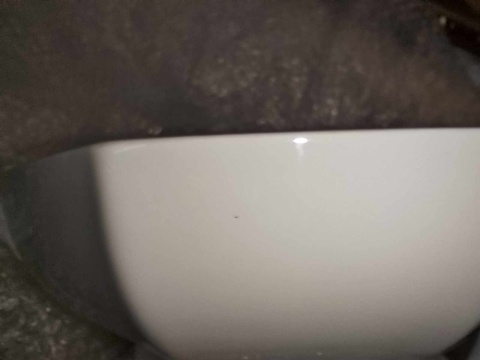 waza Rosenthal Biała Maria waza Rosenthal Biała Maria