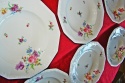 6 x talerz głęb. Rosenthal Maria Sommerstrauss
