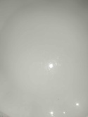 patera Rosenthal Biała Maria