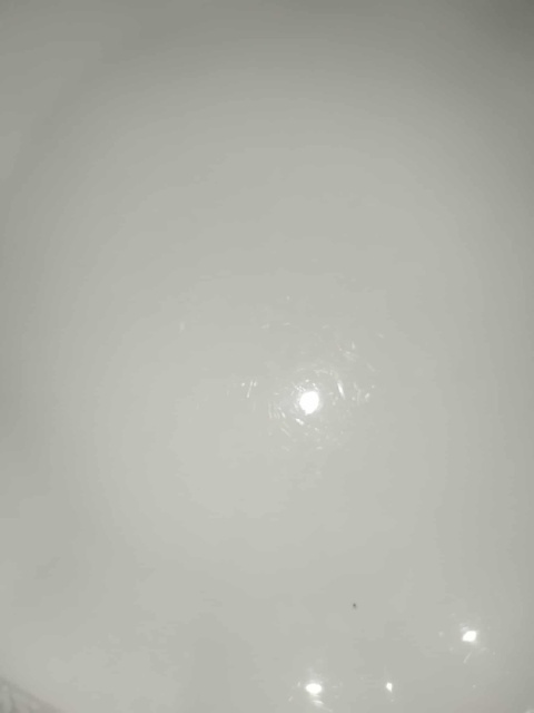 patera Rosenthal Biała Maria patera Rosenthal Biała Maria