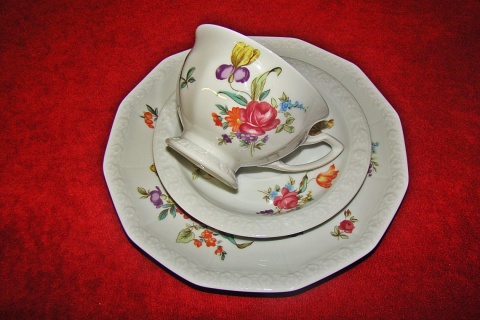 Filiżanka - zestaw Rosenthal Maria Sommerstrauss