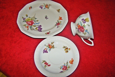 Filiżanka - zestaw Rosenthal Maria Sommerstrauss