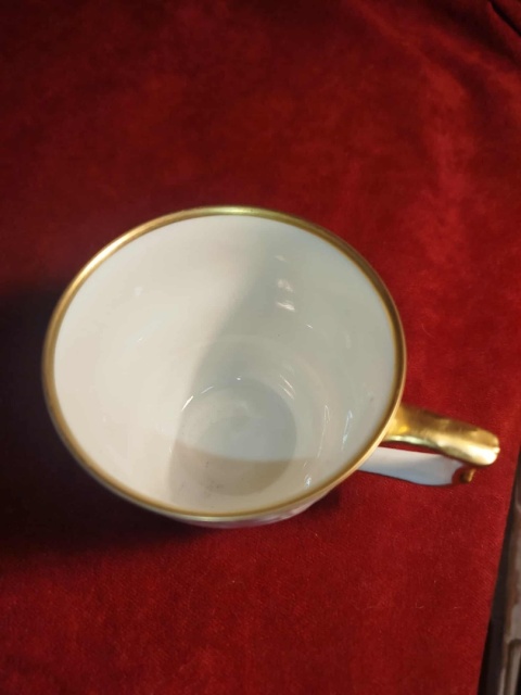 filiżanka Rosenthal Sanssouci