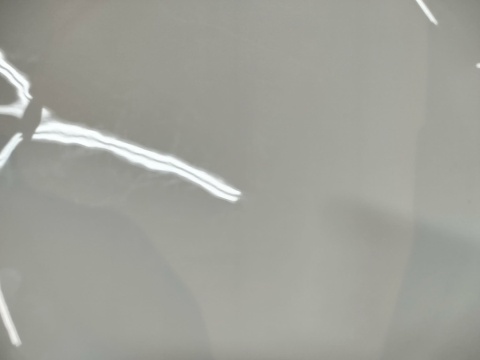 patera Rosenthal Biała Maria