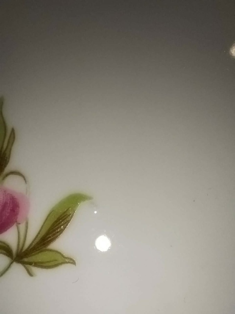 talerz płaski Rosenthal Maria Sommerstrauss