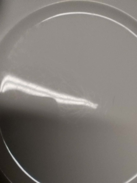 filiżanka do herbaty Rosenthal Monbijou