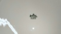 patera Rosenthal Biała Maria